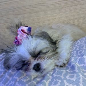 Meet your Posher, Krista